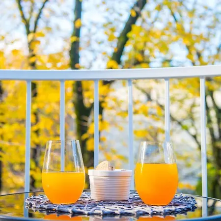 Maxim דירה מוסטר